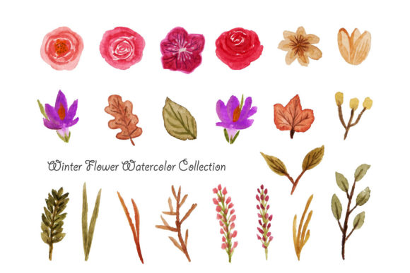 Download Winter Flower Watercolor - Flower Collection