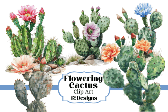 Download 12 Watercolor Flowering Cactus Clipart - Flower Collection