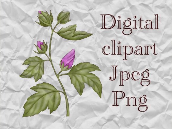 Download Hibiscus Flower Branch Clipart - Flower Collection