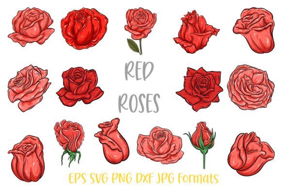 Download Red  Rose Flower Line Art Illustrations - Flower Collection