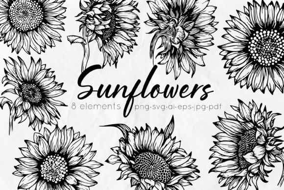 Download Sunflowers Line Art Illustrations - Flower Collection