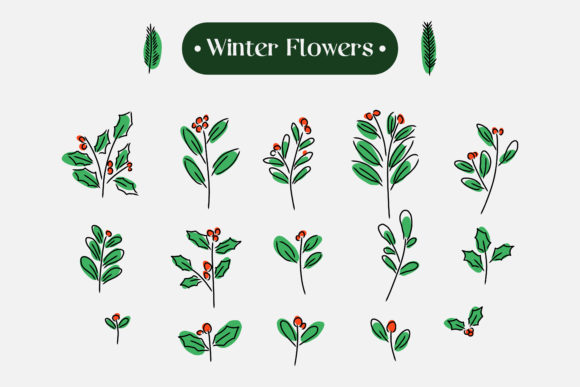 Download Set of Hand Drawn Winter Flower - Flower Collection