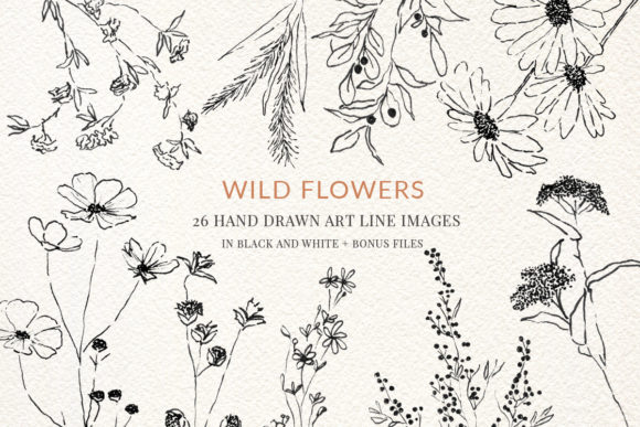 Download Wild Flowers Fine Line Clipart Hand Draw - Flower Collection