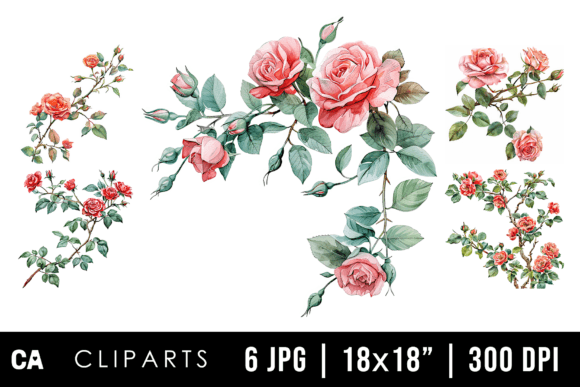 Download Watercolor Rose Flower Branch Cliparts - Flower Collection