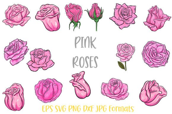 Download Pink Rose Flower Line Art Illustrations - Flower Collection