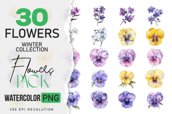Download Watercolor Winter Flower &amp; Wildlife Pack - Flower Collection
