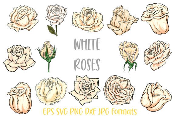 Download White Rose Flower Line Art Illustrations - Flower Collection