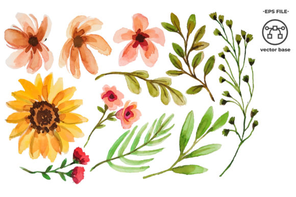 Download Watercolor Flower Elements - Flower Collection