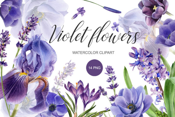 Download Watercolor Purple Flower Clipart. PNG - Flower Collection