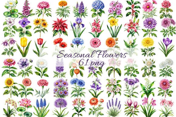 Download 61 Seasonal Flowers by Birth Month. - Flower Collection